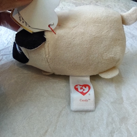 •Ty Teeny Candy the Pug Dog (5 inch) plush - Picture 4 of 13